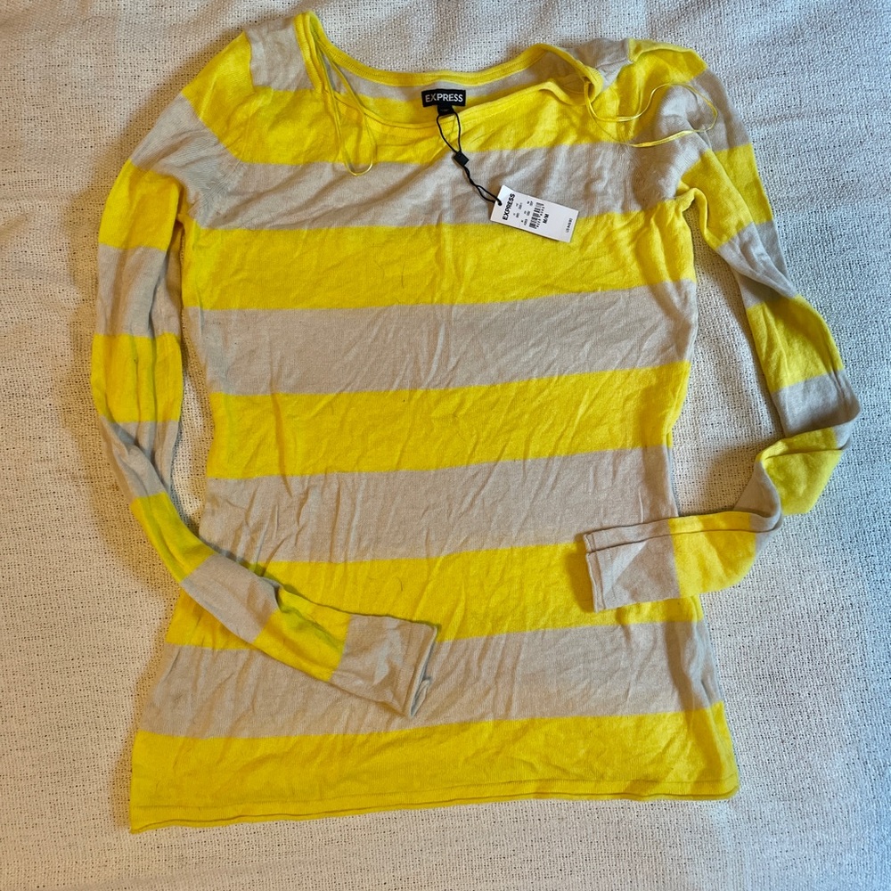 Express Striped Sweater